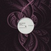 Masterwizard - Domenie