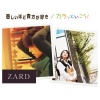 ZARD《悲しいほど贵方が好き (你让我爱得心碎)》[MP3/LRC]