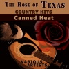 Chet Atkins - Canned Heat
