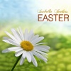 Isabella Jenkins《Easter》[MP3/LRC]