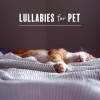 Sleeping Aid Music Lullabies - Deep Sleep Therapy & Hypnosis Meditation