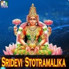 B. Vasantha - Slokam