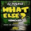 Epicentre、DJ Hybrid《What Else (Epicentre Remix)》[MP3/LRC]