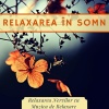 Relaxarea Nervilor《Relaxarea în Somn》[MP3/LRC]