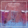 David Porcelijn、The Netherlands Symphony Orchestra - I. Fantasia