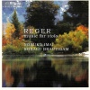 Ronald Brautigam、Nobuko Imai - Romance for Viola and Piano (arr. H. Sitt)