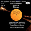 julius patzak、Bruno Walter、Wiener Philharmoniker - I. Das Trinklied vom Jammer der Erde (The Drinking Song of Earth's Misery)