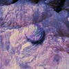 Henge - Beginners