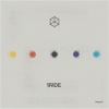 Ace - Amber