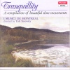 Yuli Turovsky、I Musici De Montreal、Belolo Henri - II. Adagio molto espressivo