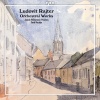 David Porcelijn、Janacek Philharmonic Orchestra - I. Allegro