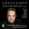 Stefano Secco、Andrius Bernotaitis、Kaunas City Symphony Orchestra、Dmitri Hvorostovsky《E lucevan le stelle … O dolci baci》[MP3/LRC]