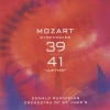 donald runnicles、The Orchestra of St. Luke's - I. Adagio - Allegro