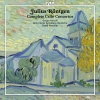 Gregor Horsch、David Porcelijn、The Netherlands Symphony Orchestra - I. Allegro non troppo