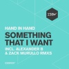 Hand in Hand - Something That I Want