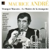 orchestre de l'association des concerts lamoureux、Jean-Baptiste Mari、Maurice Andre《I. Allegro con spirito》[MP3/LRC]