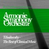 Armonie Symphony Orchestra - Symphony no. 6 in B Minor Op.74 - Allegro non troppo