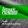 Armonie Symphony Orchestra - Concerto For Bassoon and Orchestra in B Major - Largo Presto I Fantasmi