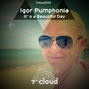 Igor Pumphonia - Dame Fortune
