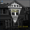Cut Knob - David Icke Is My Neighbor