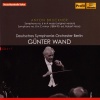 deutsches symphonie-orchester berlin、Günter Wand - I. Maestoso
