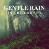 Ambient Sounds from I’m In Records - Relaxing Rain Sounds in the Forest (Part 01)