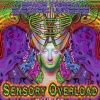 esp、Electric Universe、Space Tribe - Electric Space Phenomenon