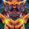 Taigai - Feeling