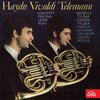 Zdenek Kosler、Bedrich Tylsar、Zdenek Tylsar、Prague Chamber Orchestra - I. Allegro maestoso
