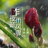 清歌儿、左韩 - 江山美人之褒姒