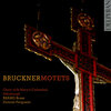 Duncan Ferguson、Edinburgh St Mary's Cathedral Choir、Oliver Brewer - Tota pulchra es, WAB 46