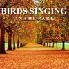 Ambient Sounds from I’m In Records - Birds Singing in a Urban Park (Part 01)