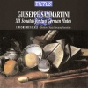 Paolo Tognon、Pietro Prosser、Roberto Loreggian、Marco Rosa Salva - I. Allegro