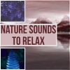 Relaxing Nature Sounds Collection - Nature Sounds to Relax