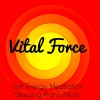 Vital Energy Duo《Vital Force》[MP3/LRC]