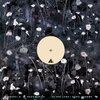 Andrei D、Radu Mirica - Ce-Are Luna