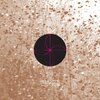 Lady Blacktronika - Perception