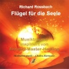 Richard Rossbach - Licht und klang