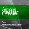 Armonie Symphony Orchestra - Chaconne for solo violin