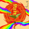 白木 - 豆子·Rainbow版