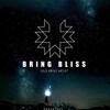 Bring Bliss - Cold Heart