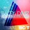 Dimiz、Baley - Remember the Times
