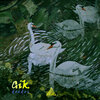 Gik - Toamna Gri