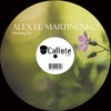 Alex Ll Martinenko - Morning Fly (Dub Mix)