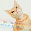 一口甜、猫二 - 出山