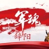 歌手辞阳 - 军魂