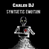 Carles Dj - Synthetic Emotion