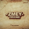 Zmey - First Man On The Moon