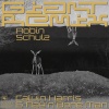 Calvin Harris、Rag'n'Bone Man - Giant (Robin Schulz Remix)