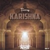 Ferry - Karishna 20190120